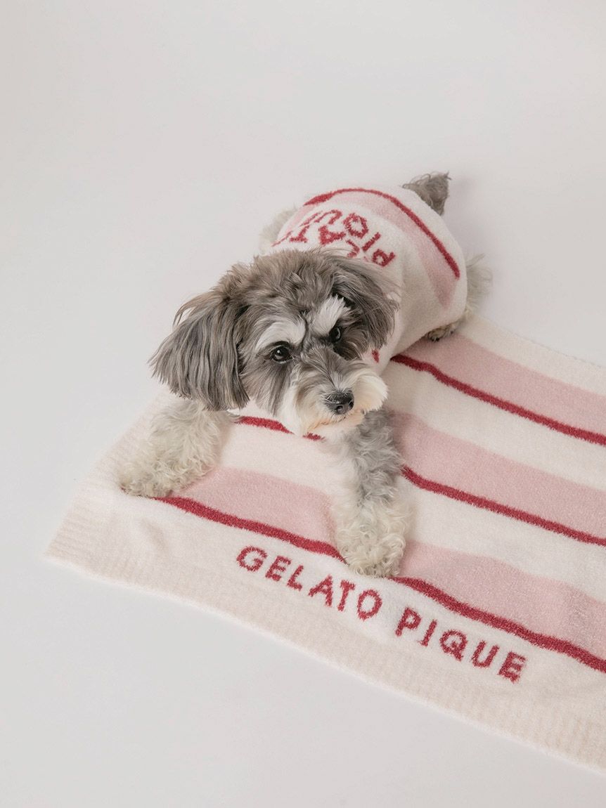 gelato pique（ジェラートピケ）【CAT&DOG】【販路限定商品】スムーズィーストロベリーボーダープルオーバー｜全2色
