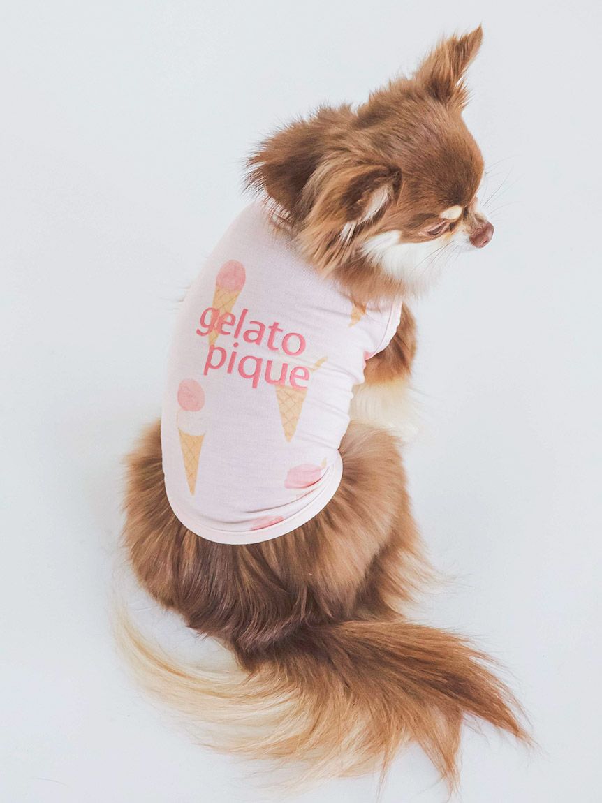 gelato pique（ジェラートピケ）【CAT&DOG】【販路限定商品】アイス柄COOLプルオーバー｜全2色