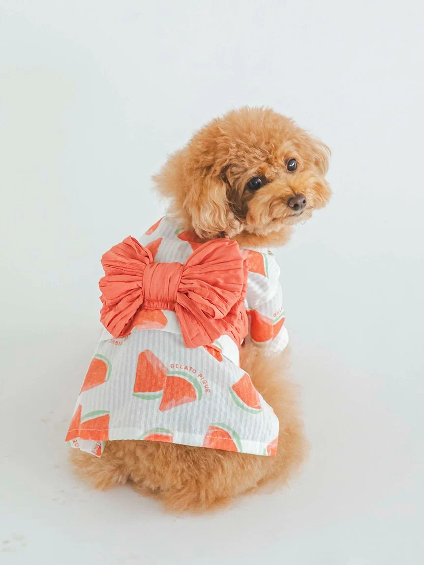 gelato pique（ジェラートピケ）【CAT&DOG】【販路限定商品】フルーツ柄浴衣｜全2色
