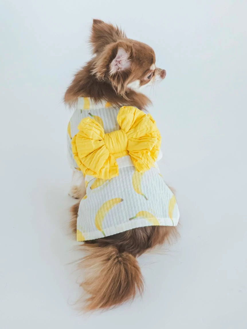 gelato pique（ジェラートピケ）【CAT&DOG】【販路限定商品】フルーツ柄浴衣｜全2色