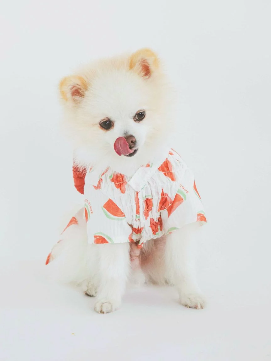 gelato pique（ジェラートピケ）【CAT&DOG】【販路限定商品】フルーツ柄浴衣｜全2色