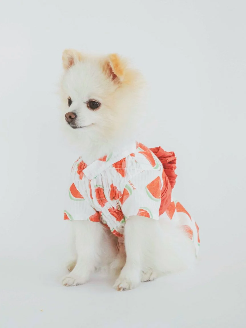 gelato pique（ジェラートピケ）【CAT&DOG】【販路限定商品】フルーツ柄浴衣｜全2色