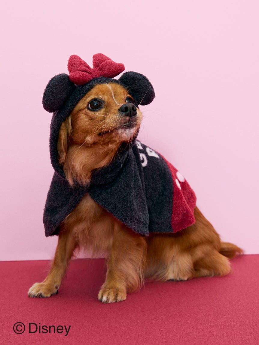 gelato pique（ジェラートピケ）【CAT&DOG】【販路限定商品】Minnie/スムーズィーケープ｜全2色