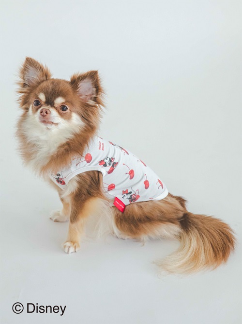 gelato pique（ジェラートピケ）【CAT&DOG】【販路限定商品】【接触冷感】Minnie/COOLプルオーバー｜全2色