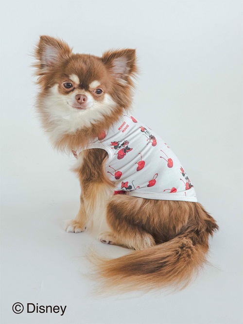 gelato pique（ジェラートピケ）【CAT&DOG】【販路限定商品】【接触冷感】Minnie/COOLプルオーバー｜全2色