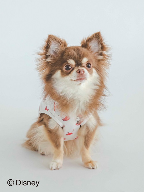gelato pique（ジェラートピケ）【CAT&DOG】【販路限定商品】【接触冷感】Minnie/COOLプルオーバー｜全2色