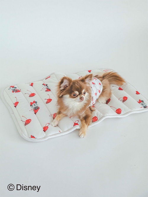 gelato pique（ジェラートピケ）【CAT&DOG】【販路限定商品】【接触冷感】Minnie/COOLプルオーバー｜全2色