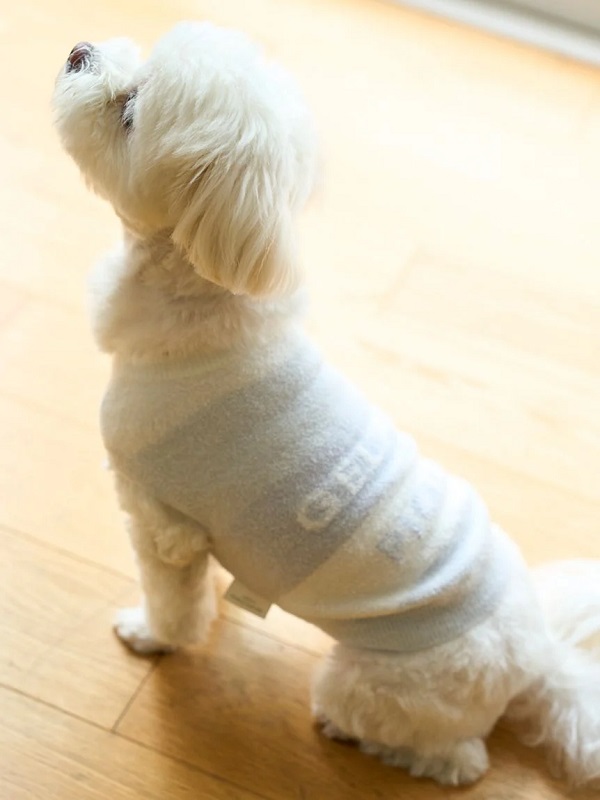 gelato pique（ジェラートピケ）【CAT&DOG】【販路限定商品】スムーズィーライト3BDノースリーブプルオーバー｜全3色