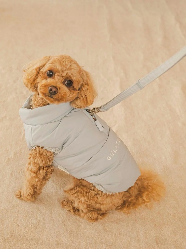 ジェラートピケ ボアパーカー ジェラートピケ gelatopique キャスパー