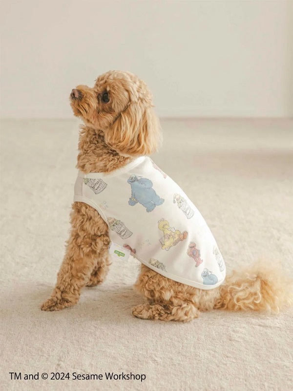 gelato pique（ジェラートピケ）【CAT&DOG】【販路限定商品】SESAME STREET/カットソープルオーバー