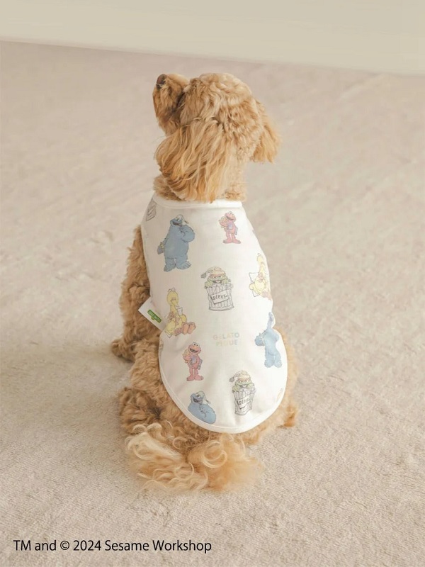 gelato pique（ジェラートピケ）【CAT&DOG】【販路限定商品】SESAME STREET/カットソープルオーバー