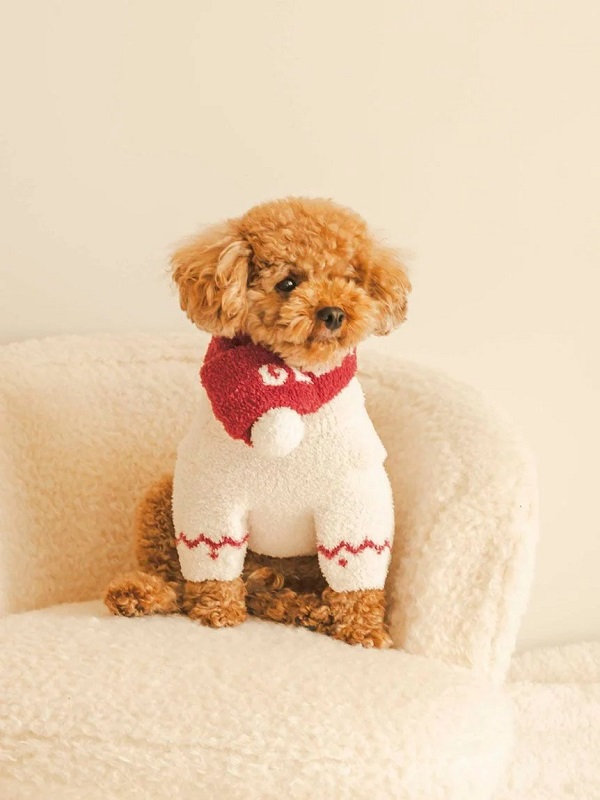 GELATO PIQUE 犬服セット7点かわいいデザイン GELATO PIQUE 犬服セット7点かわいいデザイン その他