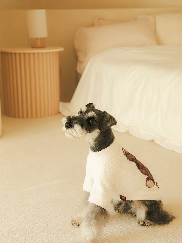 gelato pique（ジェラートピケ）【CAT&DOG】【販路限定商品】【Valentine】ハートベアジャガードハイネックプルオーバー｜全3色