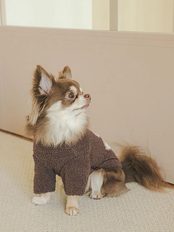 gelato pique（ジェラートピケ）【CAT&DOG】【販路限定商品】【Valentine】ハートベアジャガードハイネックプルオーバー｜全3色