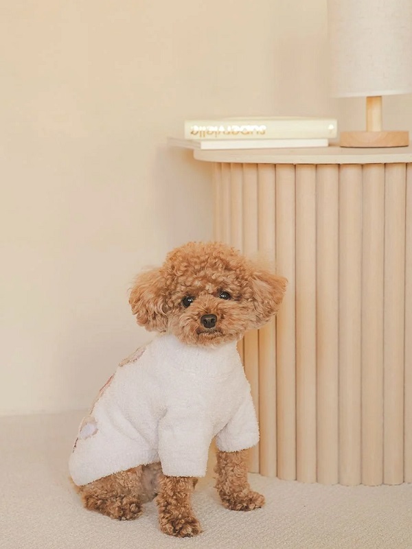 gelato pique（ジェラートピケ）【CAT&DOG】【販路限定商品】【Valentine】ハートベアジャガードハイネックプルオーバー｜全3色