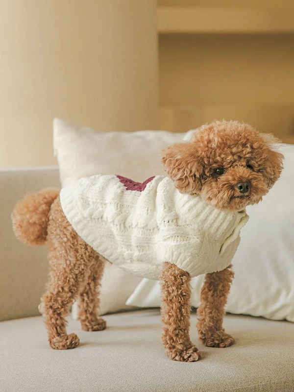gelato pique（ジェラートピケ）【CAT&DOG】【販路限定商品