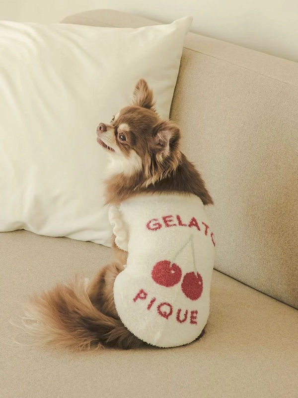 gelato pique（ジェラートピケ）【CAT&DOG】【販路限定商品】スムーズィーチェリージャガードプルオーバー｜全3色