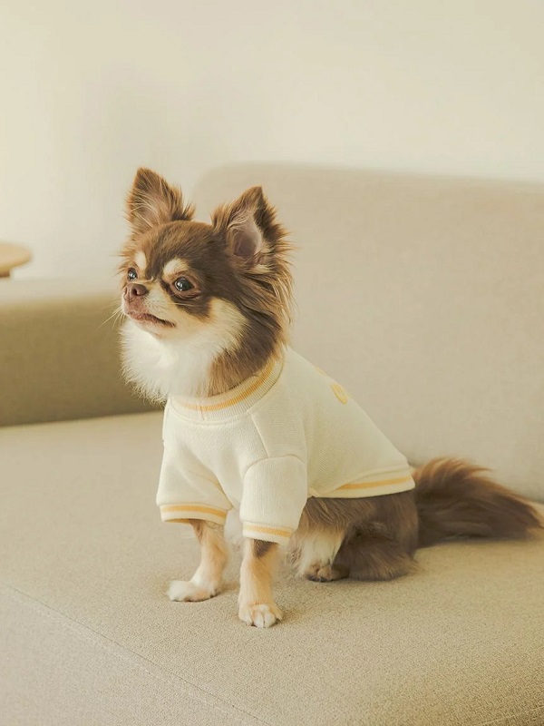 gelato pique（ジェラートピケ）【CAT&DOG】【販路限定商品】裏