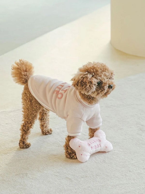 gelato pique（ジェラートピケ）【CAT&DOG】【販路限定商品】裏毛プルオーバー｜全3色