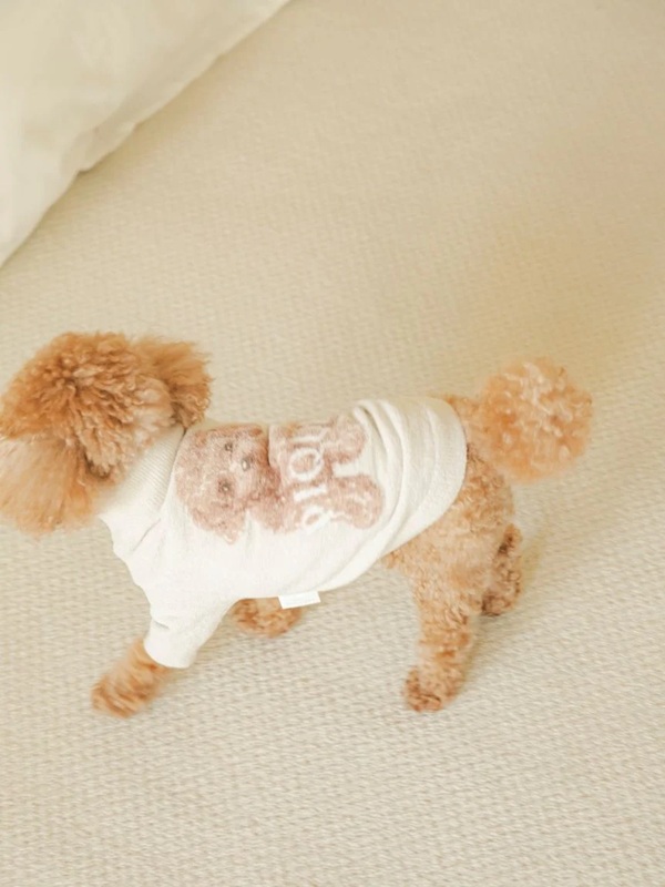 gelato pique（ジェラートピケ）【CAT&DOG】【販路限定商品】トイプードルジャガードハイネックプルオーバー｜全2色