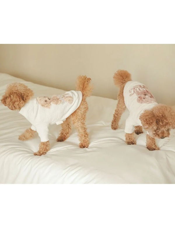 gelato pique（ジェラートピケ）【CAT&DOG】【販路限定商品】トイプードルジャガードハイネックプルオーバー｜全2色