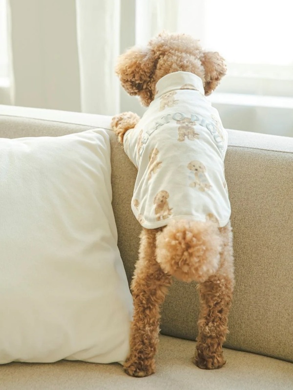 gelato pique（ジェラートピケ）【CAT&DOG】【販路限定商品】トイプードル柄プルオーバー