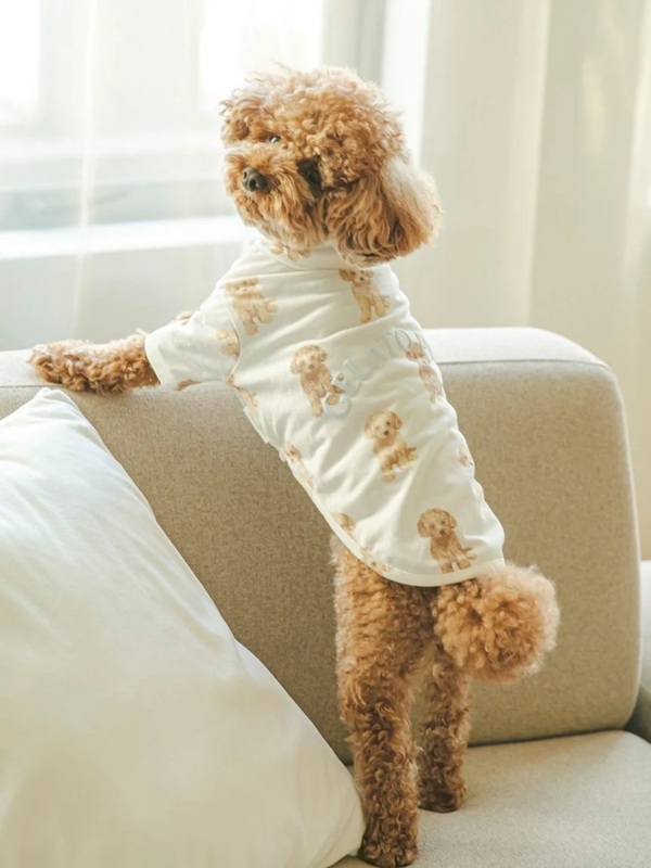 gelato pique（ジェラートピケ）【CAT&DOG】【販路限定商品】トイプードル柄プルオーバー