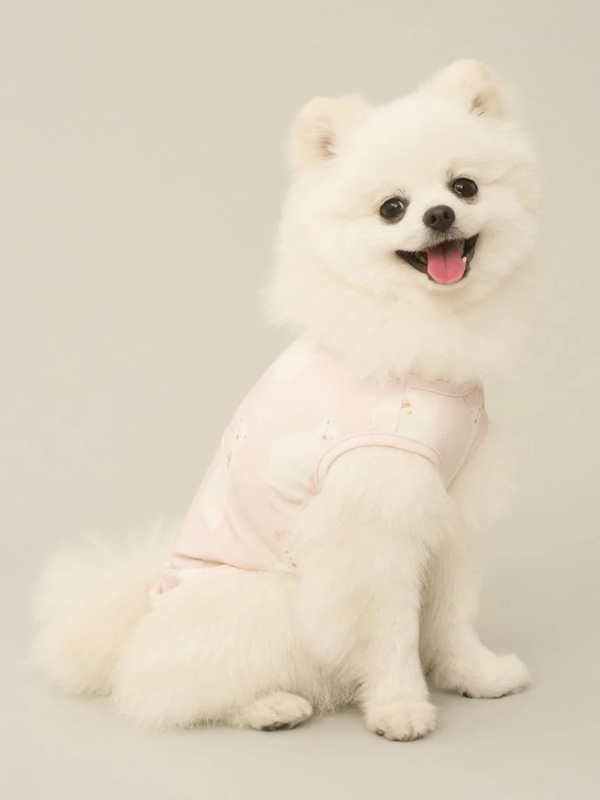 gelato pique（ジェラートピケ）【CAT&DOG】【販路限定商品】シロクマ柄COOLINGウェア｜全3色