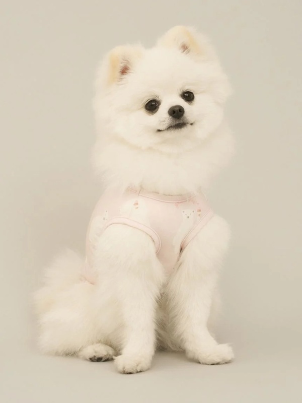 gelato pique（ジェラートピケ）【CAT&DOG】【販路限定商品】シロクマ柄COOLINGウェア｜全3色