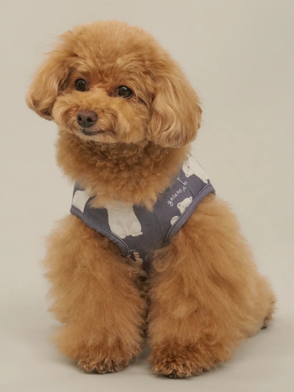 gelato pique（ジェラートピケ）【CAT&DOG】【販路限定商品】シロクマ柄COOLINGウェア｜全3色