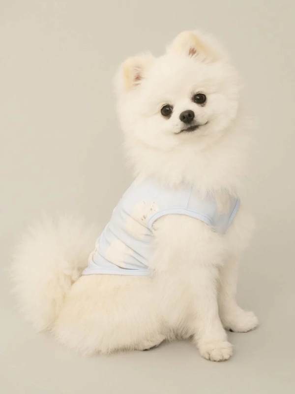 gelato pique（ジェラートピケ）【CAT&DOG】【販路限定商品】シロクマ柄COOLINGウェア｜全3色