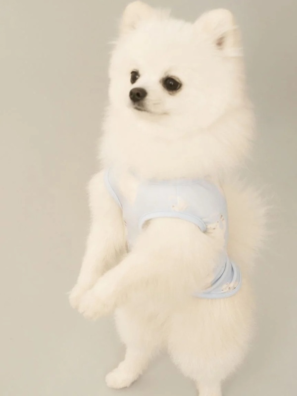 gelato pique（ジェラートピケ）【CAT&DOG】【販路限定商品】シロクマ柄COOLINGウェア｜全3色