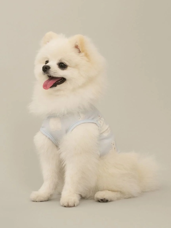 gelato pique（ジェラートピケ）【CAT&DOG】【販路限定商品】シロクマ柄COOLINGウェア｜全3色