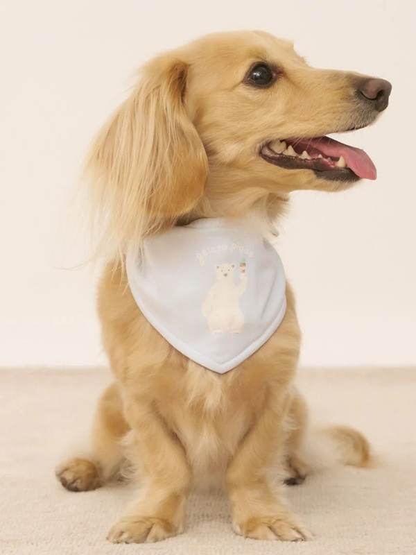 gelato pique（ジェラートピケ）【CAT&DOG】【販路限定商品】シロクマ柄保冷剤入れバンダナ｜全3色