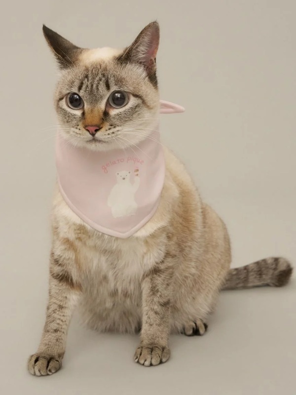 gelato pique（ジェラートピケ）【CAT&DOG】【販路限定商品】シロクマ柄保冷剤入れバンダナ｜全3色