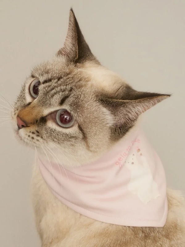 gelato pique（ジェラートピケ）【CAT&DOG】【販路限定商品】シロクマ柄保冷剤入れバンダナ｜全3色
