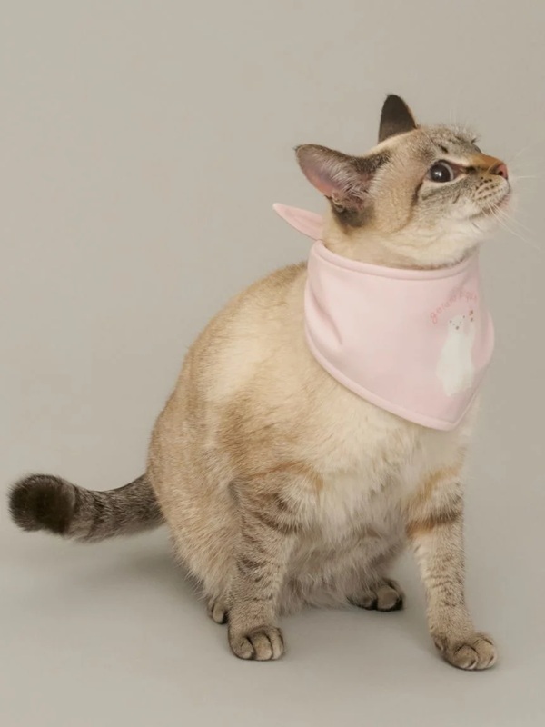 gelato pique（ジェラートピケ）【CAT&DOG】【販路限定商品】シロクマ柄保冷剤入れバンダナ｜全3色
