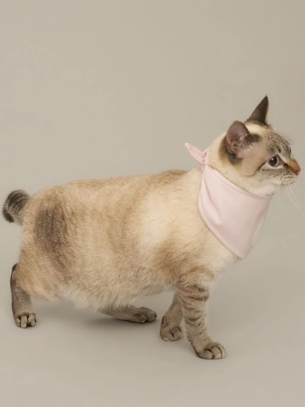 gelato pique（ジェラートピケ）【CAT&DOG】【販路限定商品】シロクマ柄保冷剤入れバンダナ｜全3色