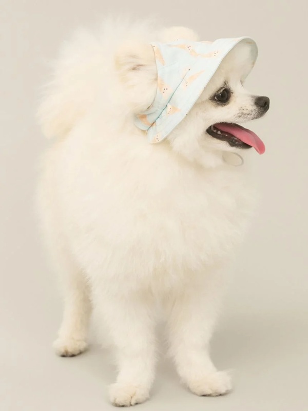 gelato pique（ジェラートピケ）【CAT&DOG】【販路限定商品】ハット