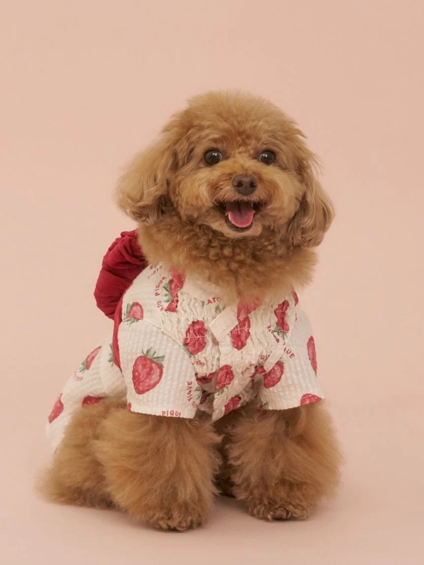 gelato pique（ジェラートピケ）【CAT&DOG】【販路限定商品】浴衣｜全4色