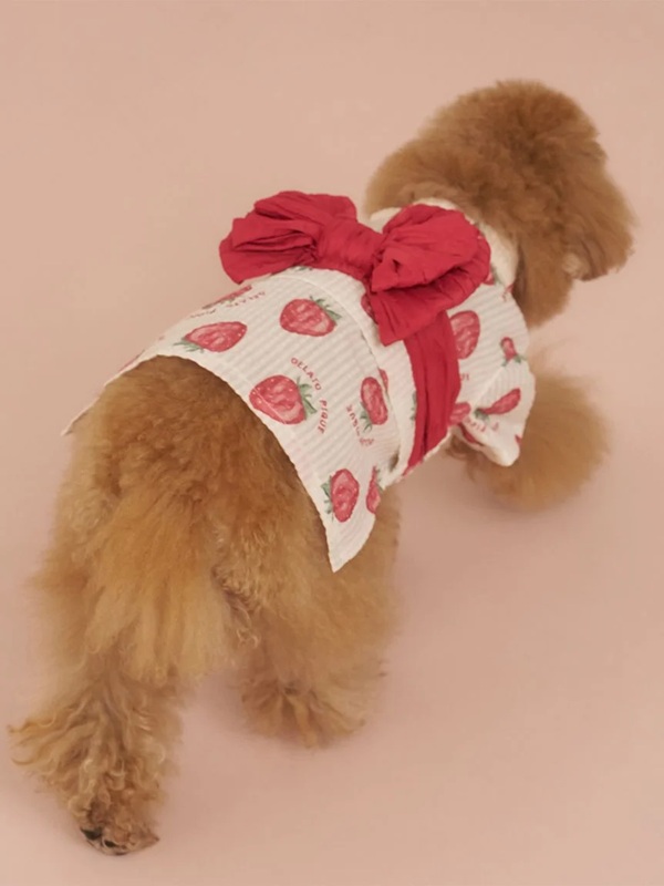gelato pique（ジェラートピケ）【CAT&DOG】【販路限定商品】浴衣｜全4色