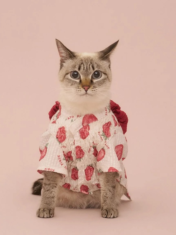 gelato pique（ジェラートピケ）【CAT&DOG】【販路限定商品】浴衣｜全4色