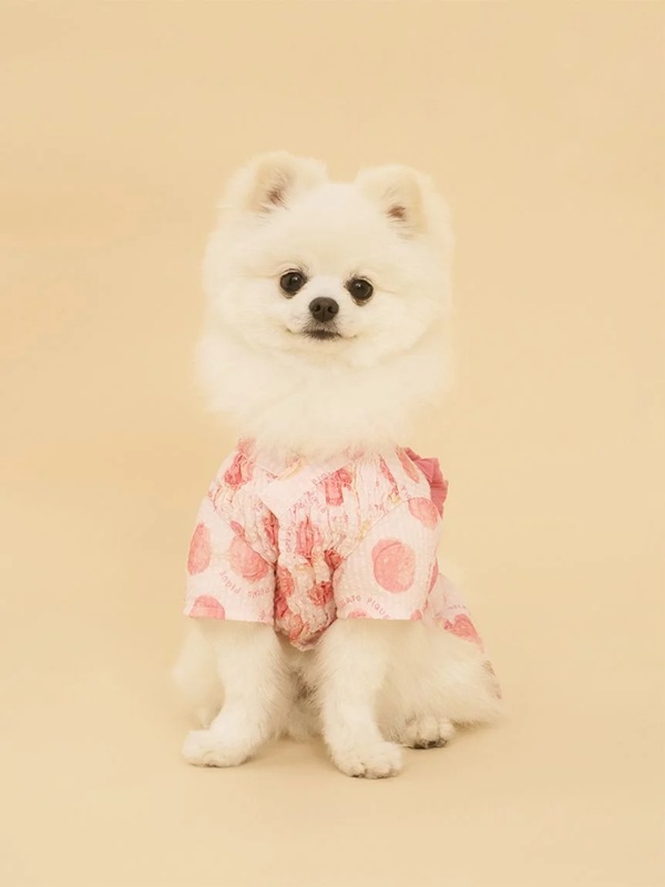 gelato pique（ジェラートピケ）【CAT&DOG】【販路限定商品】浴衣｜全4色