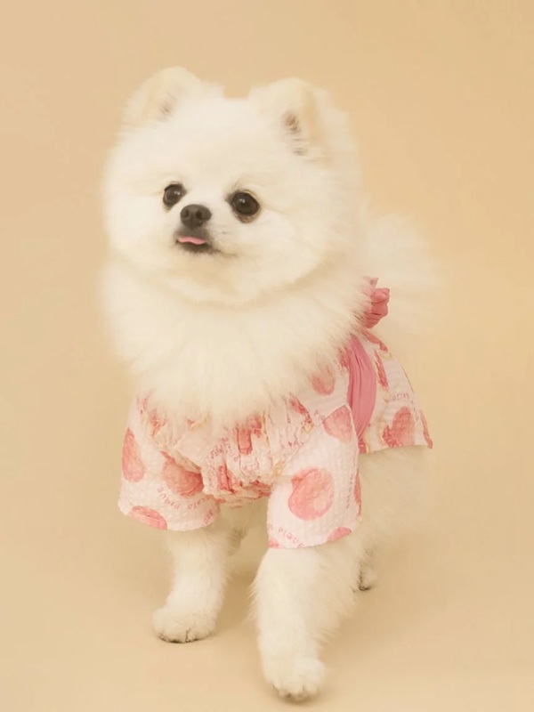 gelato pique（ジェラートピケ）【CAT&DOG】【販路限定商品】浴衣｜全4色