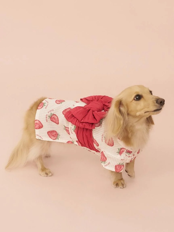 gelato pique（ジェラートピケ）【CAT&DOG】【販路限定商品】ダックスフンド浴衣｜全4色