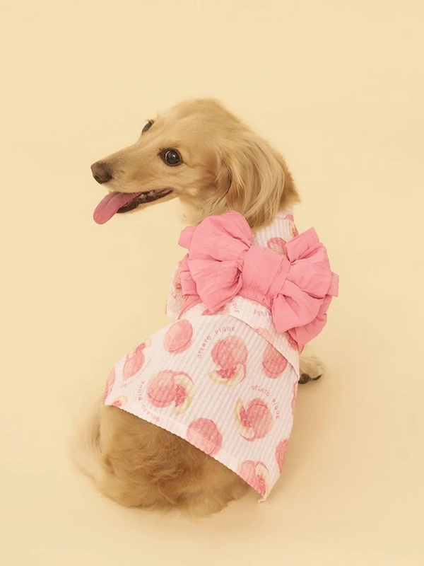 CAT&DOG】ダックスフンドジャガードノースリーブプルオーバー