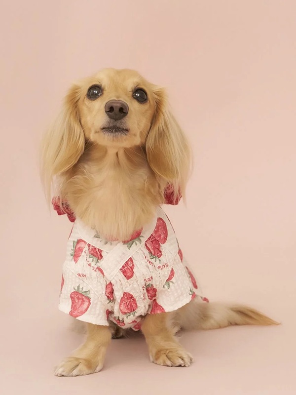 gelato pique（ジェラートピケ）【CAT&DOG】【販路限定商品】ダックスフンド浴衣｜全4色