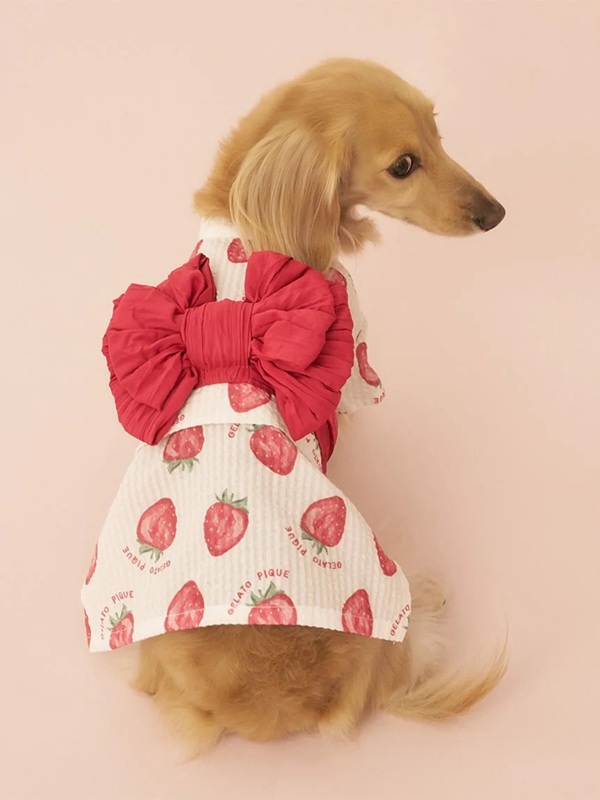 gelato pique（ジェラートピケ）【CAT&DOG】【販路限定商品】ダックスフンド浴衣｜全4色