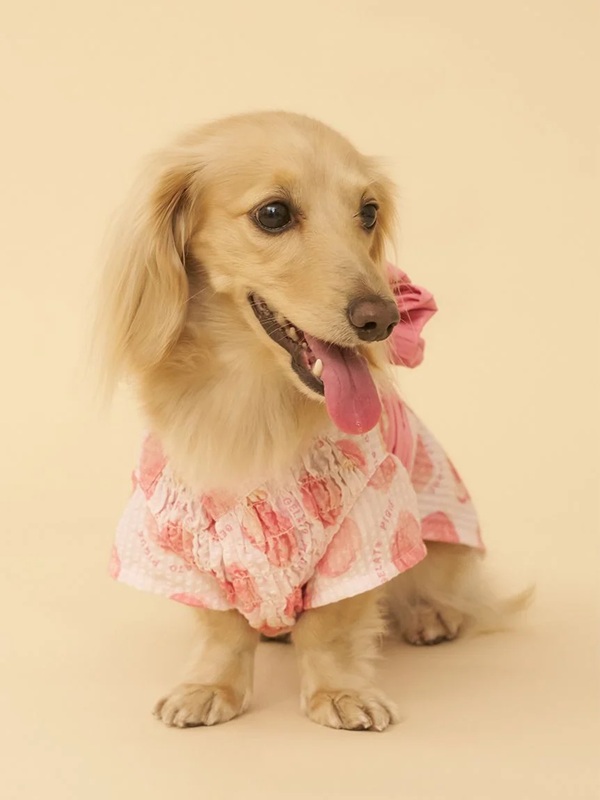 gelato pique（ジェラートピケ）【CAT&DOG】【販路限定商品】ダックスフンド浴衣｜全4色
