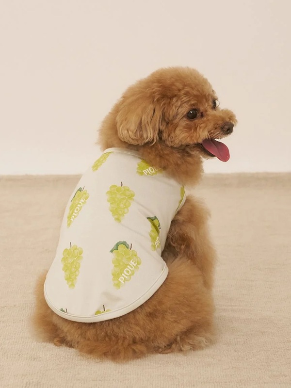 gelato pique（ジェラートピケ）【CAT&DOG】【販路限定商品】】【接触冷感】フルーツ柄プルオーバー｜全3色